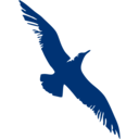 Cape Air logo