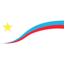 flyCAA logo