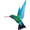 Caribbean Airlines logo