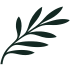 Cyprus Airways logo