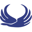 Iran Aseman Airlines logo