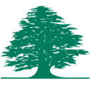 Middle East Airlines logo