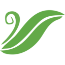 MASwings logo