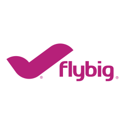 FlyBig logo