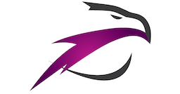 Sky Vision Airlines logo