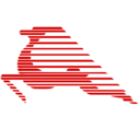 Tunisair Express logo